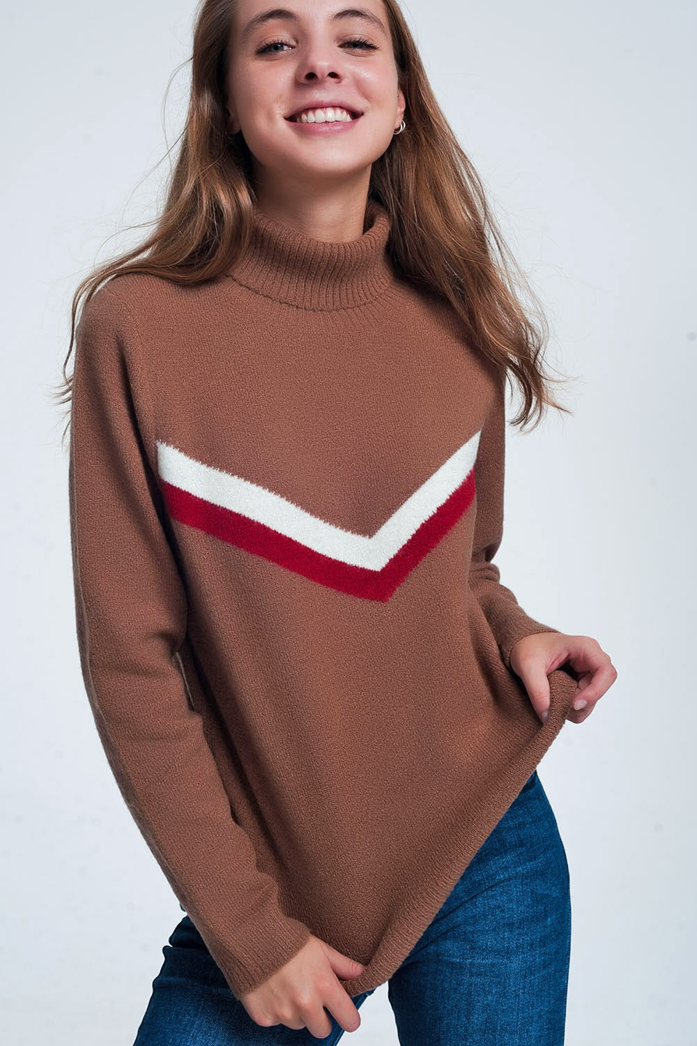 Sweater With Chevron Detail in Brown